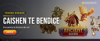 Experiencia de juego premium en Pewinnerbet